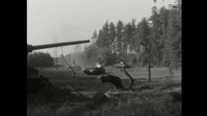 Смелого пуля боится или Мишка принимает бой