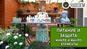 Секреты удобрений: Как правильно подкармливать ваши растения с Чудозёмом!