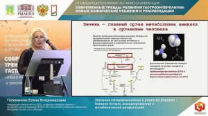 Голованова Елена Владимировна Значение гипераммониемии в развитии жировой болезни печени, ассоцииров