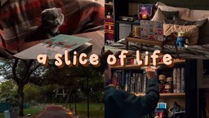 ch.3 alone but not lonely | cleaning bookshelf, chill days, zelda tears of the kingdom 🕯️🍃✨