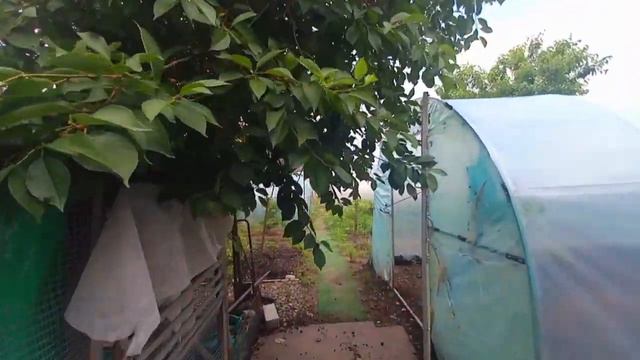 Цена: 7 млн 500 тыс.руб.