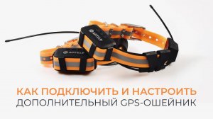 Как подключить и настроить дополнительный GPS-ошейник