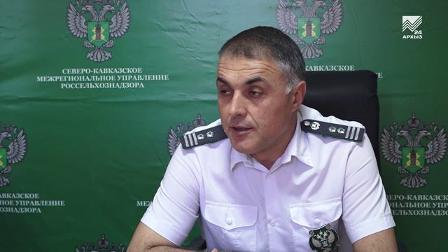 Новые правила перевозки домашних животных