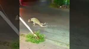 С актёрским мастерством всё в порядке