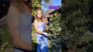 Делаем бансай из можжевельника БЛЮ КАРПЕТ - из нашего питомника Дивный сад.