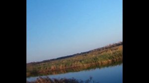 Видео нарезка из охоты