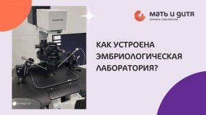 Обзор эмбриологической лаборатории