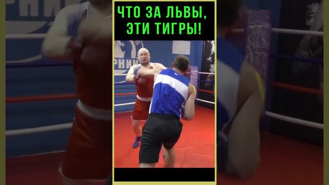 Зачем тянуть козу за бороду!? Боксеры решили все в 1 раунде! Левый крюк, и мир не станет прежним