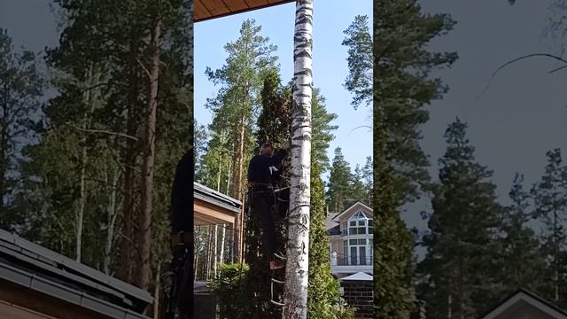 Полез без когтей смотреть онлайн