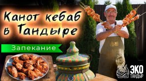 Куриные крылья в тандыре Восточный. Канот кебаб на шампурах. Рецепт Хакима Ганиева