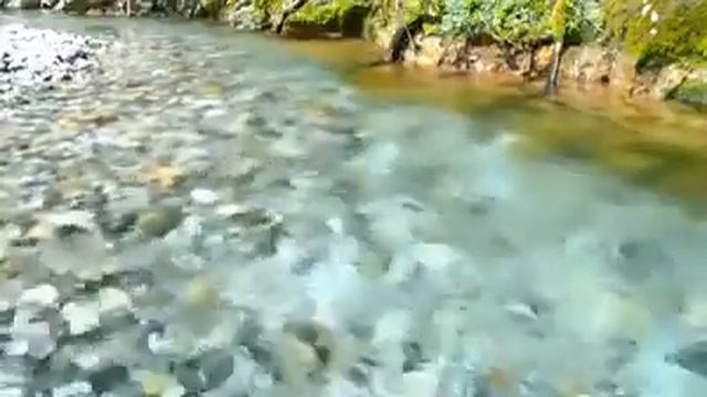 Набичон Худойбердиев/шеьри Аскар Хаким смотреть онлайн