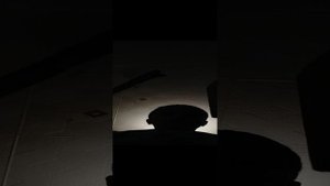 VID_20240920_145533.mp4