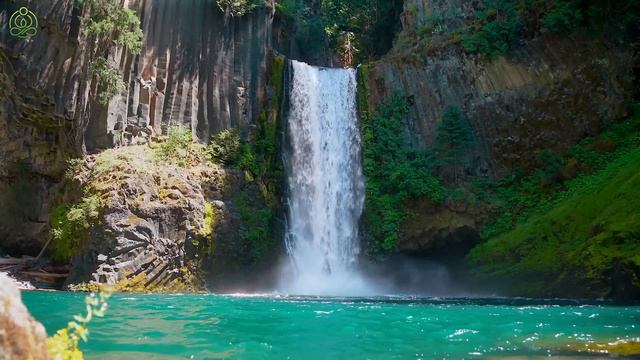 Gentle music, calms the nervous system and pleases soul- healing music for heart and blood vessels 2 смотреть онлайн