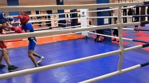 Лавр-Радамир 14.09.2024 спарринг