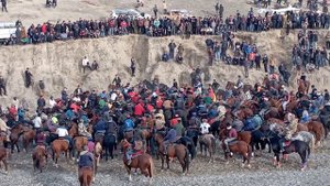 бузкаши дар н.деваштич