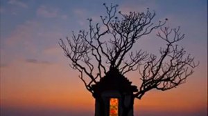 جاز كولمان مغنى فريق البانك روك الإنجيلزى من أصول هندية