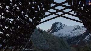 Рыба, которая спасла викингов