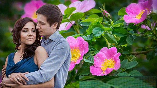 исп.Игорь Наджиев - Наша любовь