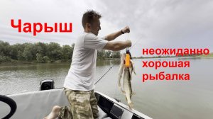 Чарыш - ловля щуки и окуня на джиг и тейлспинеры
