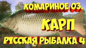 Русская Рыбалка 4, Место для ловли Карпа #РусскаяРыбалка4 #RussianFishing4