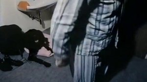 Трое на снегу (1974)