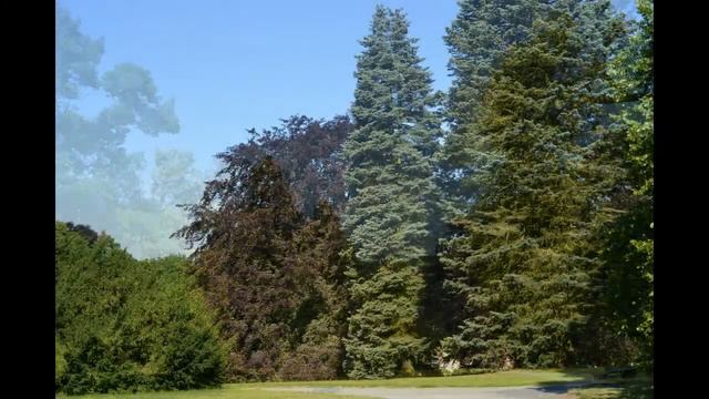 Zámek Čechy pod Kosířem смотреть онлайн