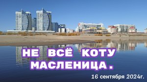 Не всё коту масленица. 16 сентября 2024г.