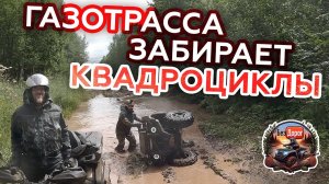 Мощная катка на трёх квадроциклах Stels Guepard 650, CF Moto 600, BM Striker 500