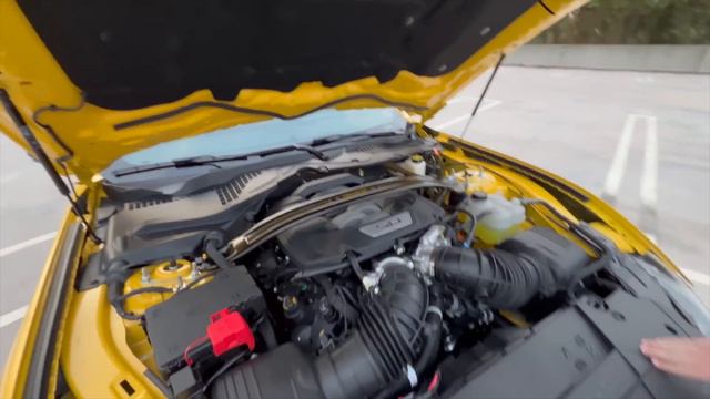 These Exhaust Setups SCREAM!! Kooks Headers! Are the Moves! смотреть онлайн