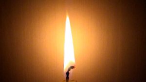 Медитации "Гармонизирующая свеча" - Липа