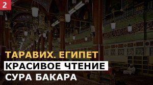 ОЧЕНЬ КРАСИВОЕ ЧТЕНИЕ СУРА БАКАРА. Таравих 2024 (ЕГИПЕТ)