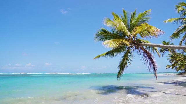 Ваша новая ветка реальности смотреть онлайн