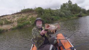 Монстрики продолжают радовать