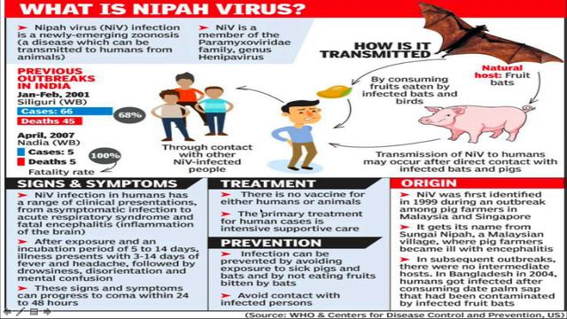 NIPAH VIRUS INFECTION EXPLAINED