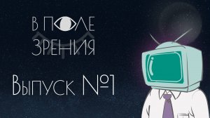 В ПОЛЕ ЗРЕНИЯ - Выпуск №1 (гость - Роман Зимин)
