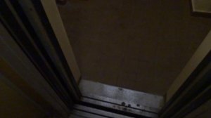 Пассажирский лифт V=1 м-с, Q=320 кг (5245)