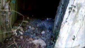 ЗМП | Замок змеиного короля