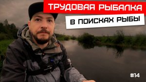 В поисках рыбы на реке Луга, поймал Язя