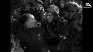 Звезда (1949)