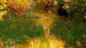 ВИДЕОКЛИП  ЧТО ТАКОЕ ОСЕНЬ