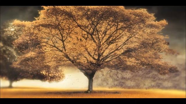 ARASH Feat Helena  Broken Angel Official Video