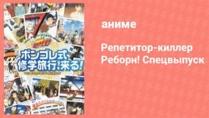 Репетитор-киллер Реборн! Спецвыпуск (аниме-сериал, 2010)