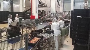 VID-20240807-WA0018