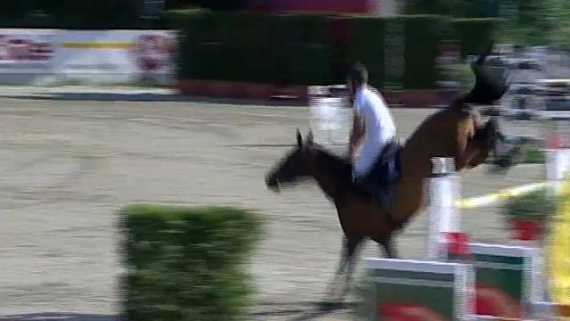 FIRST Felimo (born 1998, Florestan I, Poesie-Polydor, Westfale) with Stefan Eder смотреть онлайн