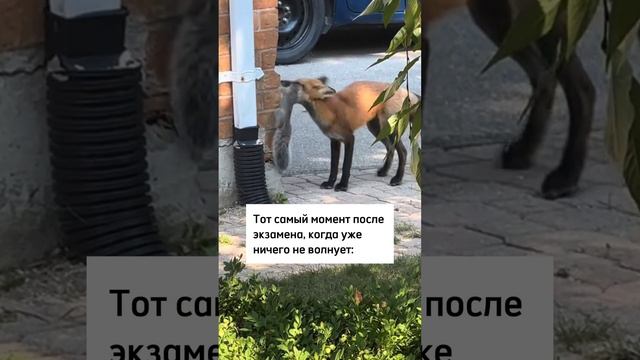 Я абсолютно спокоен...