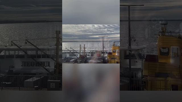 Скоро премьера! Светлана Абрамова & Михаил Серебряный смотреть онлайн