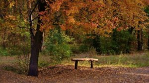 Осень в России, ч.-2