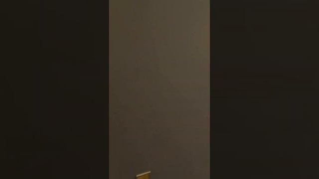 39 секунд на осмотр дома #спб смотреть онлайн