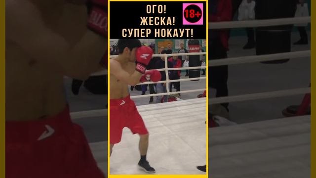 Гугух! нокаут! Боксер упал лицом вперед, с ним все хорошо.Но на секунду стало ссыкотно. Герой!