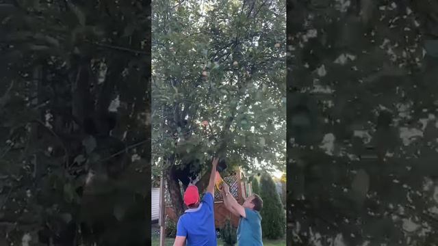 В стране березового ситца нам как всегда с утра не спится